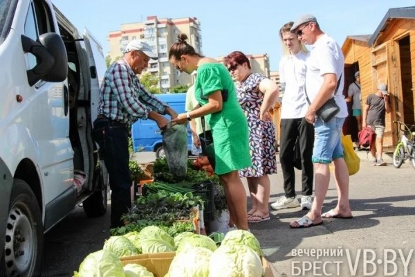 Зелени много не бывает! Малоритский фермер нашел необычную нишу на овощном рынке и не жалеет