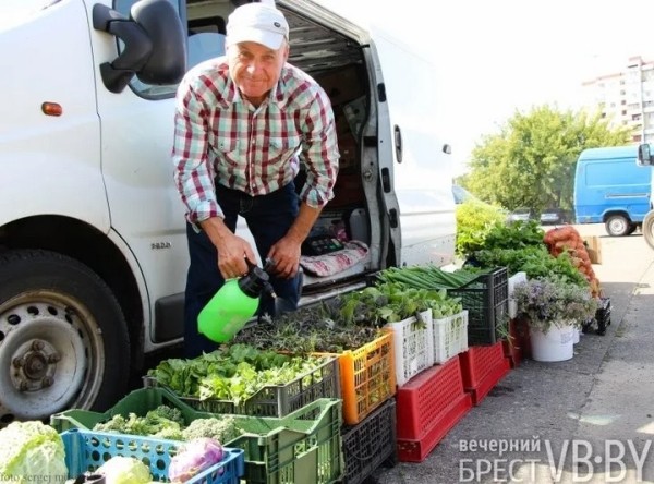 Зелени много не бывает! Малоритский фермер нашел необычную нишу на овощном рынке и не жалеет