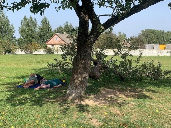 На границе новые рекорды: ожидание въезда в Польшу – более 60 часов На границе новые рекорды: ожидание въезда в Польшу – более 60 часов