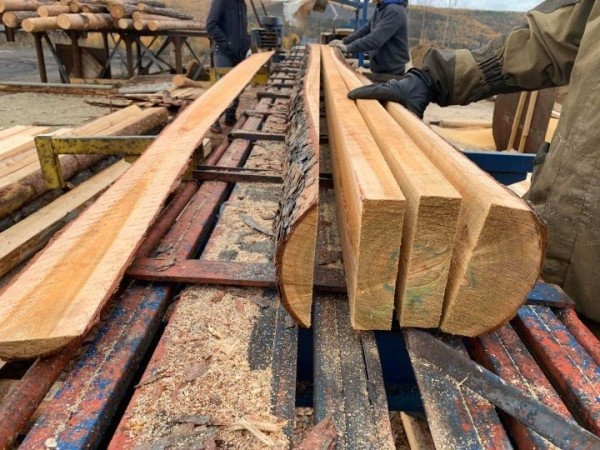 Белорусам для строительства дома разрешили покупать до 70 «кубов» леса