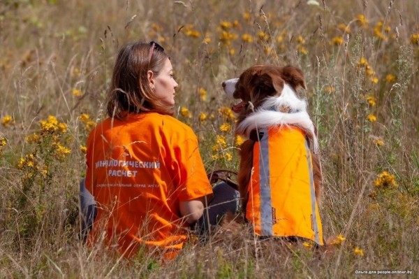 Гадюки действительно убивают? Истории реальных белорусов, которых кусала змея