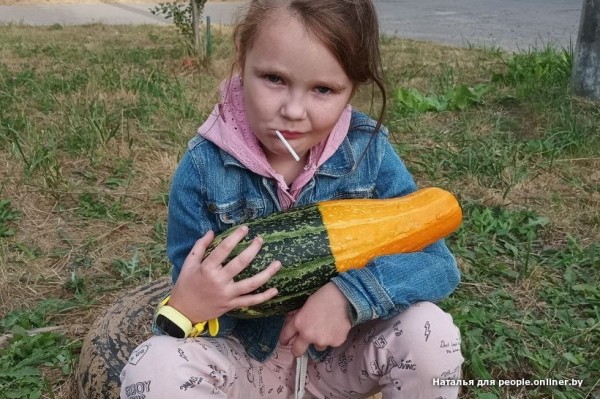 В Кобрине картошки сразу стараются расти размером с ведро. Чем еще удивляют белорусские овощи
