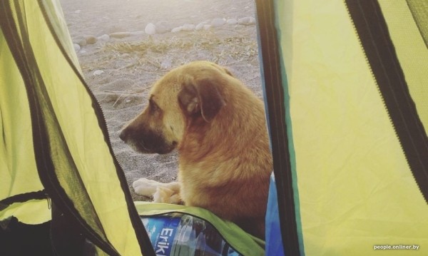 В Турции тратил $1—2 в день. 23-летний белорус две недели жил на берегу моря в палатке В Турции тратил $1—2 в день. 23-летний белорус две недели жил на берегу моря в палатке