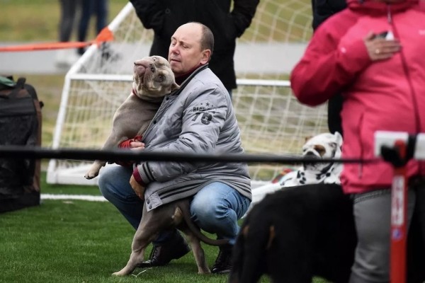 В Беларуси выбрали лучшую собаку