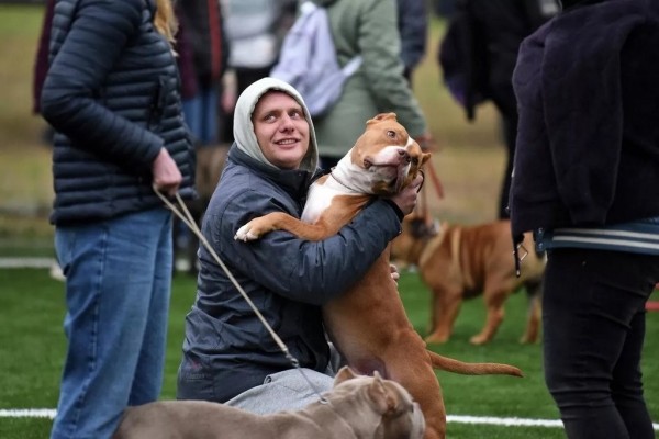 В Беларуси выбрали лучшую собаку