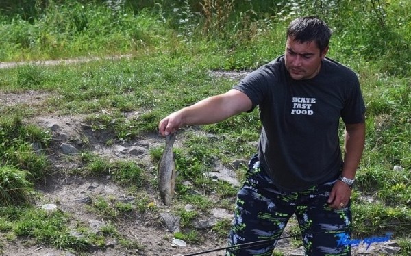 Что стало причиной гибели рыбы на барановичской Мышанке? Что стало причиной гибели рыбы на барановичской Мышанке?