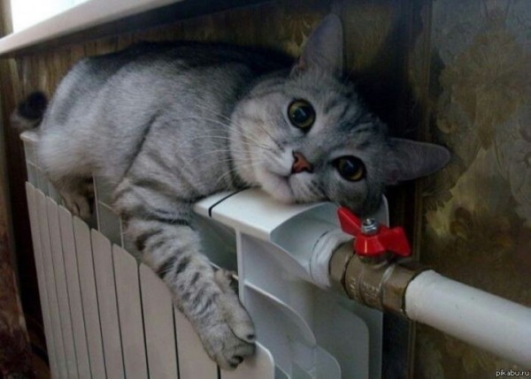 Вырастут ли суммы в жировках на отопление? Комментарий ЖКХ Вырастут ли суммы в жировках на отопление? Комментарий ЖКХ