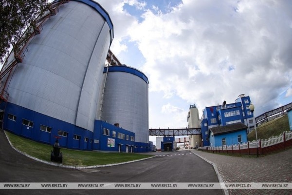 Жабинковский сахарный завод начинает переработку свеклы. Репортаж