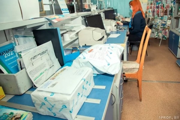 Беспошлинный лимит на посылки из зарубежья в Беларуси с 1 октября снизится в 5 раз
