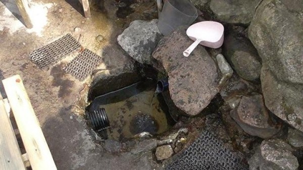 В очередной раз проверили воду в роднике «Пажэжынская крынічка». Можно ли пить? В очередной раз проверили воду в роднике «Пажэжынская крынічка». Можно ли пить?