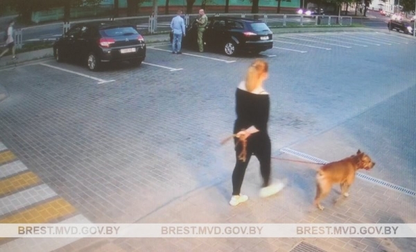 В Бресте ищут хозяйку собаки бойцовской породы