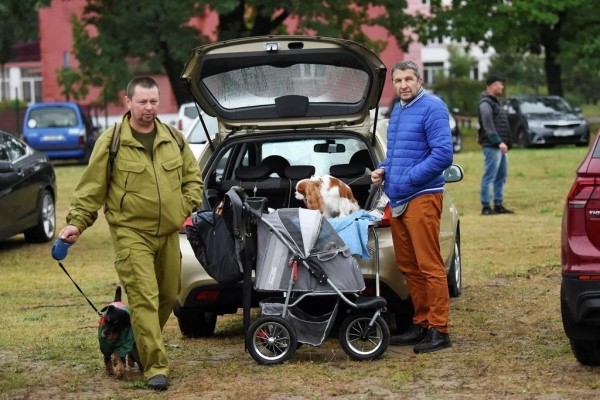 В Беларуси выбрали лучшую собаку