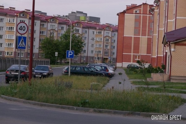 «Снимайте с учета для утилизации, а я ее куплю». Мошенники «разводят» пенсионеров-автовладельцев?