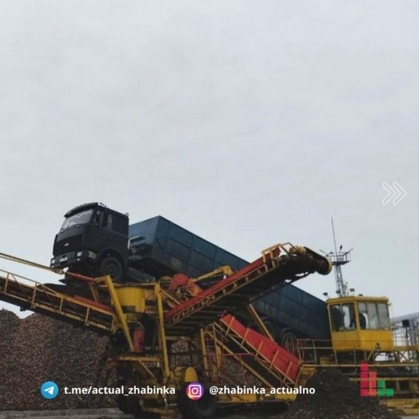 В Жабинке заготовили уже более 600 тысяч тонн сахарной свеклы