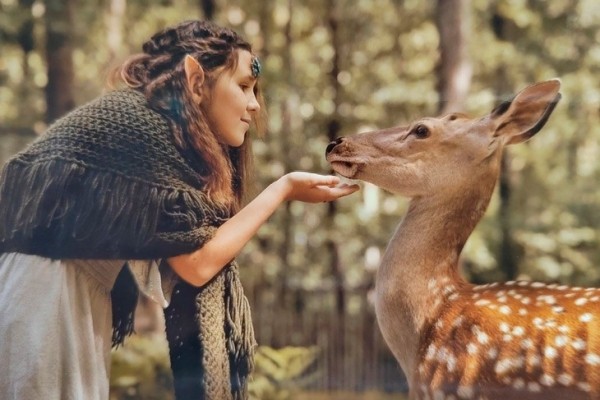 Эльфы и олени — кого только не увидишь в Кобринском лесхозе