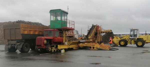 Сладкие горы в Каменецком районе