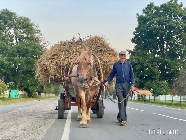 На сколько повысится пенсия у белорусов, достигших 75 и 80 лет На сколько повысится пенсия у белорусов, достигших 75 и 80 лет