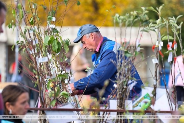 Сезон сельхозярмарок в Бресте в самом разгаре