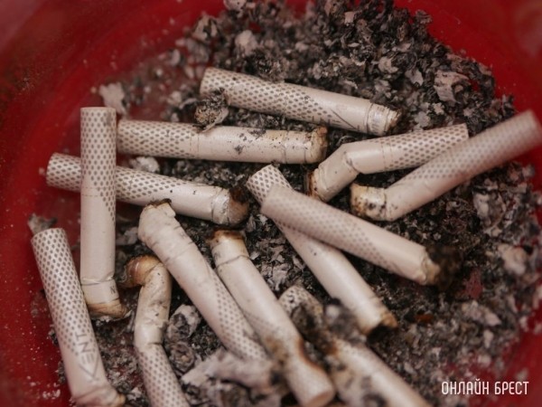 В ноябре не подорожает ни одна марка сигарет