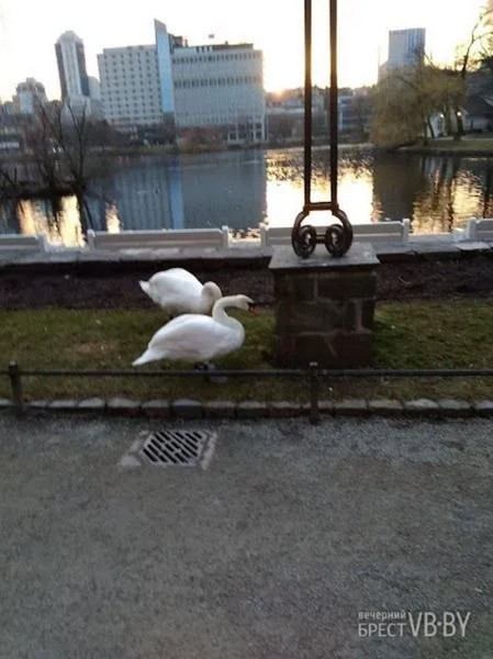 Норвежский «алфавит» глазами брестчанина. Чем живет сегодня страна фьордов? Норвежский «алфавит» глазами брестчанина. Чем живет сегодня страна фьордов?