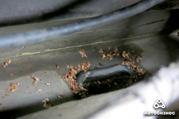 Из-за чего потеют стекла, как их быстро очистить и можно ли решить проблему принципиально