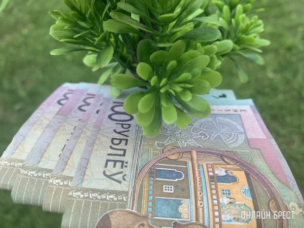 В Минэкономики рассказали, что будет с зарплатами белорусов В Минэкономики рассказали, что будет с зарплатами белорусов