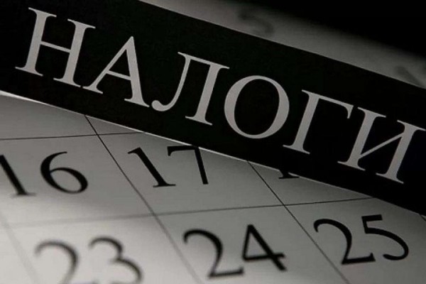 Не забудьте про налоги: осталась неделя, чтобы внести имущественные сборы Не забудьте про налоги: осталась неделя, чтобы внести имущественные сборы