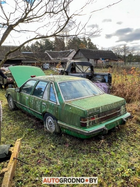 В Беларуси редкий Opel 10 лет врастал в землю и покрылся мхом. Но все равно машину купили В Беларуси редкий Opel 10 лет врастал в землю и покрылся мхом. Но все равно машину купили