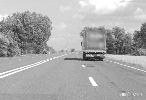 В Германии белорус отбился от воров, лезших в кабину фуры