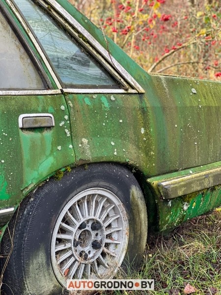 В Беларуси редкий Opel 10 лет врастал в землю и покрылся мхом. Но все равно машину купили В Беларуси редкий Opel 10 лет врастал в землю и покрылся мхом. Но все равно машину купили
