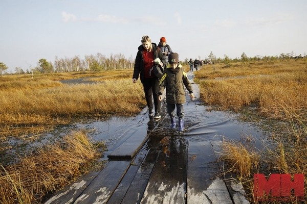 А вы знали, что в Беларуси есть места, похожие на тундру? Где их искать