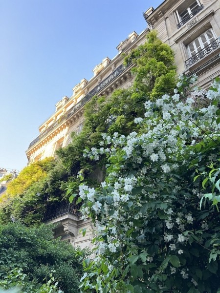 «Аренда хорошей квартиры — минимум 1800 евро». Белорусы переехали в Париж и рассказывают, что там с ценами и недвижимостью