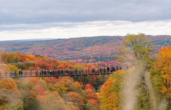 Открылся самый длинный в мире подвесной мост, сделанный в основном из дерева Открылся самый длинный в мире подвесной мост, сделанный в основном из дерева