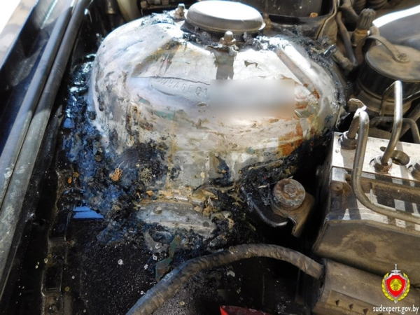 Белорус купил свой первый автомобиль и сразу нарвался на поддельный VIN