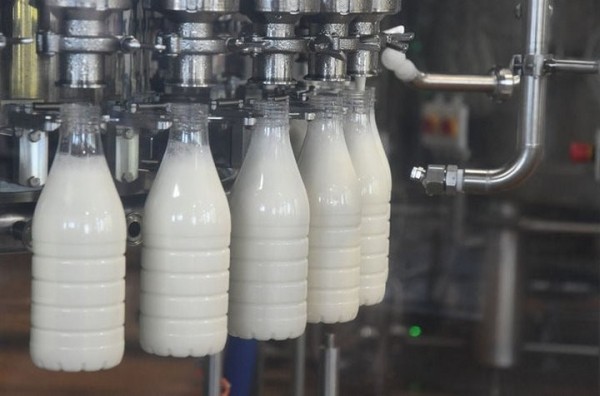 Как Брестская область стала «молочным» лидером в стране Как Брестская область стала «молочным» лидером в стране