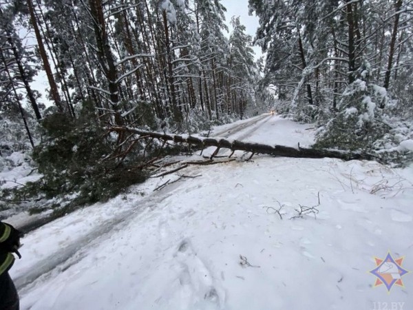 Последствия выпадения снега в Брестской области Последствия выпадения снега в Брестской области