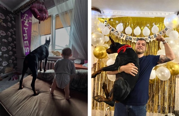 Белорусы рассказали о своих тратах на собак