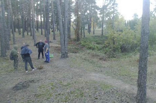 Показываем, что фиксируют фотоловушки в наших лесах