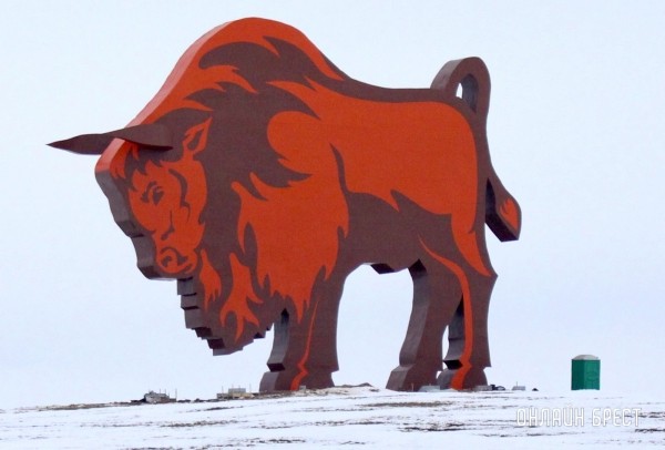 Красиво! Посмотрите, как выглядит зубр на трассе М1 после реставрации Красиво! Посмотрите, как выглядит зубр на трассе М1 после реставрации