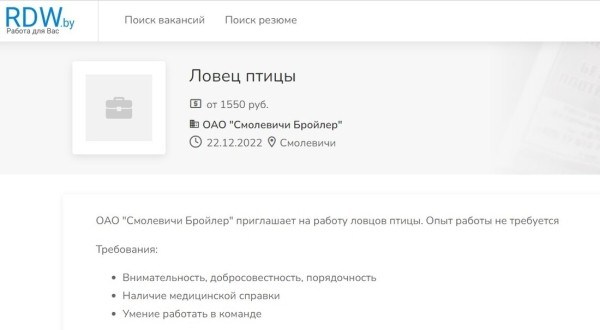 Топ необычных вакансий в Беларуси. Реальные объявления, которые вас удивят