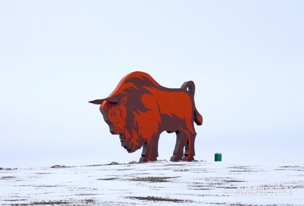 Красиво! Посмотрите, как выглядит зубр на трассе М1 после реставрации Красиво! Посмотрите, как выглядит зубр на трассе М1 после реставрации