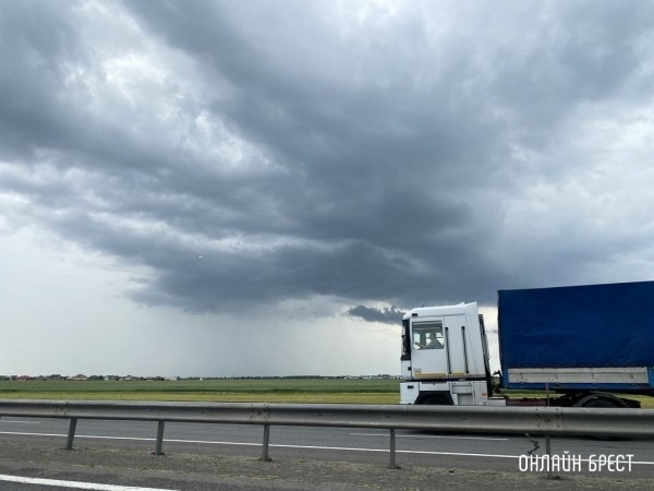 Белорусские грузоперевозчики рассказали, как пережили этот год