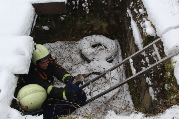 В Беларуси спасли лебедя. Подробности случая В Беларуси спасли лебедя. Подробности случая