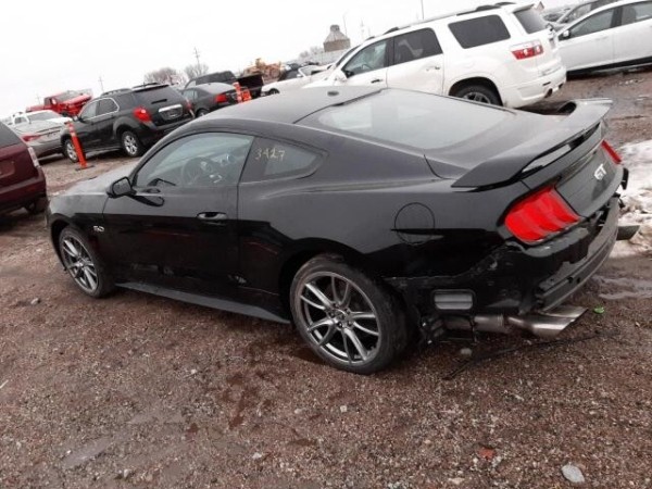 Белорус: «Оформил Mustang на вешалку-льготницу, а она забрала машину себе». Сама же девушка считает иначе