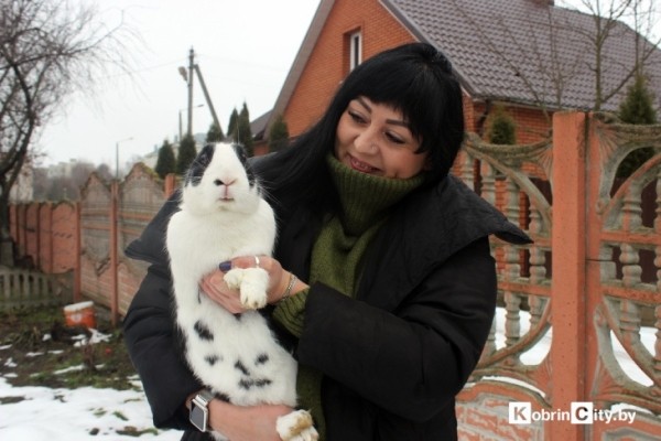 Ещё год назад у кобринчанки Натальи из питомцев были только кот и собака, а сейчас у неё уже более 50-ти кроликов Ещё год назад у кобринчанки Натальи из питомцев были только кот и собака, а сейчас у неё уже более 50-ти кроликов