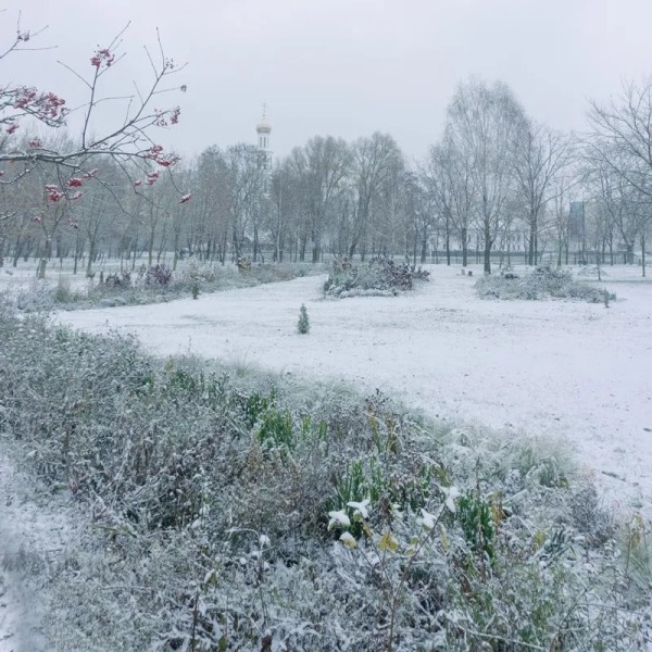 «Кветка-парк» – новое место на карте Бреста «Кветка-парк» – новое место на карте Бреста