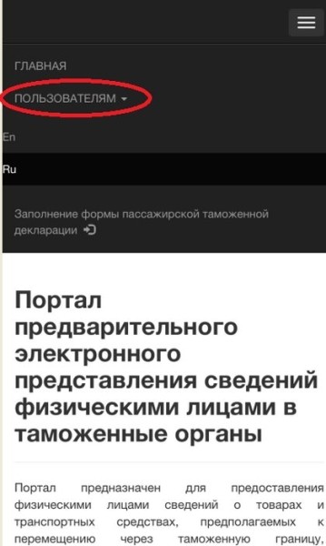 Как физическим лицам ускорить прохождение границы. Вот способ Как физическим лицам ускорить прохождение границы. Вот способ