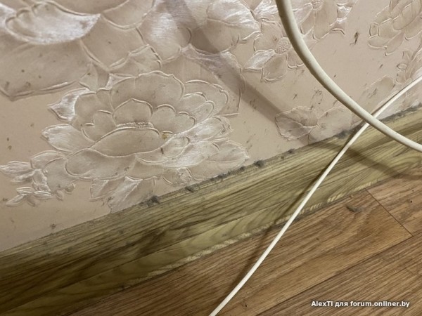 «А что вы хотели за 120 рублей?» Семья сняла квартиру на сутки в Минске и получила «гигиенический шок»