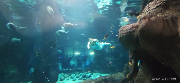 «На всю дорогу — 400 литров топлива». Белорус проехал на кемпере по России и рассказал о впечатлениях «На всю дорогу — 400 литров топлива». Белорус проехал на кемпере по России и рассказал о впечатлениях