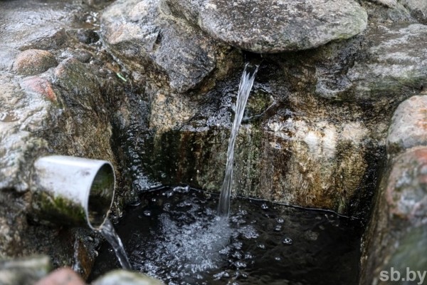 Намоленное место. Сотни людей едут к роднику у Западного Буга, чтобы окунуться в купель